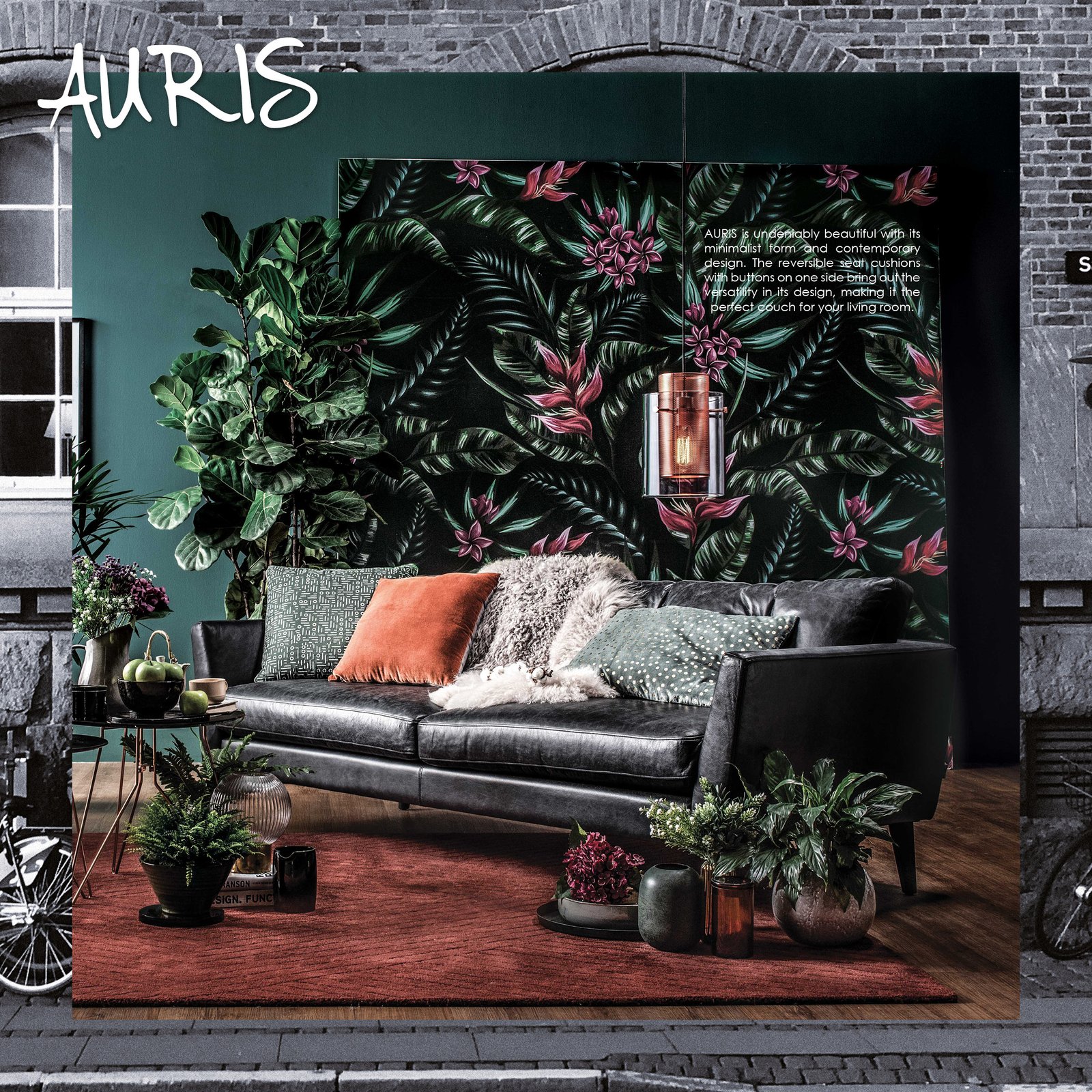 Auris_Sofa1