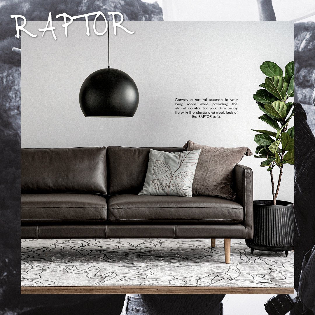 Raptor_Sofa1