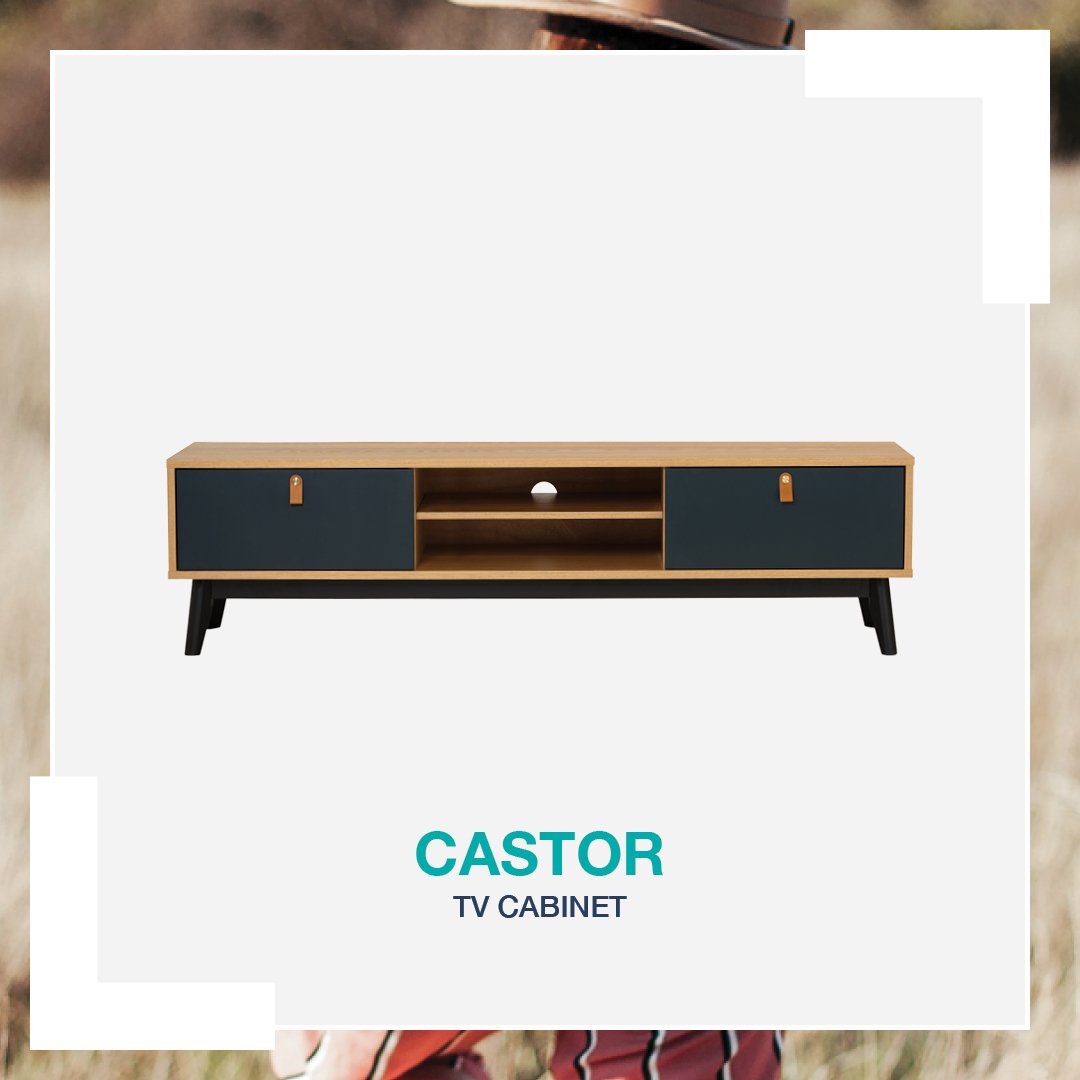 Castor_TVCabinet01