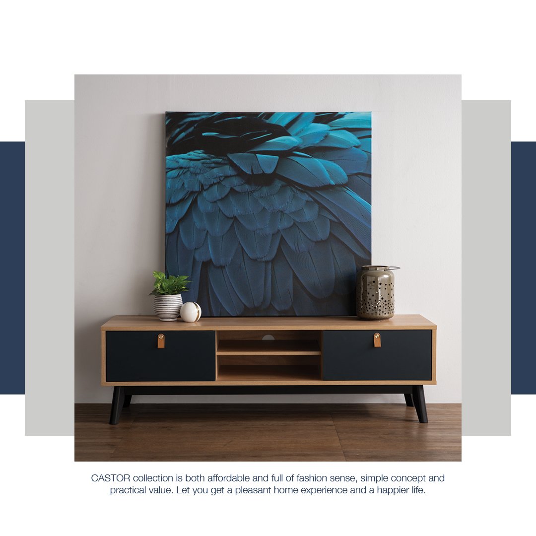 Castor_TVCabinet02