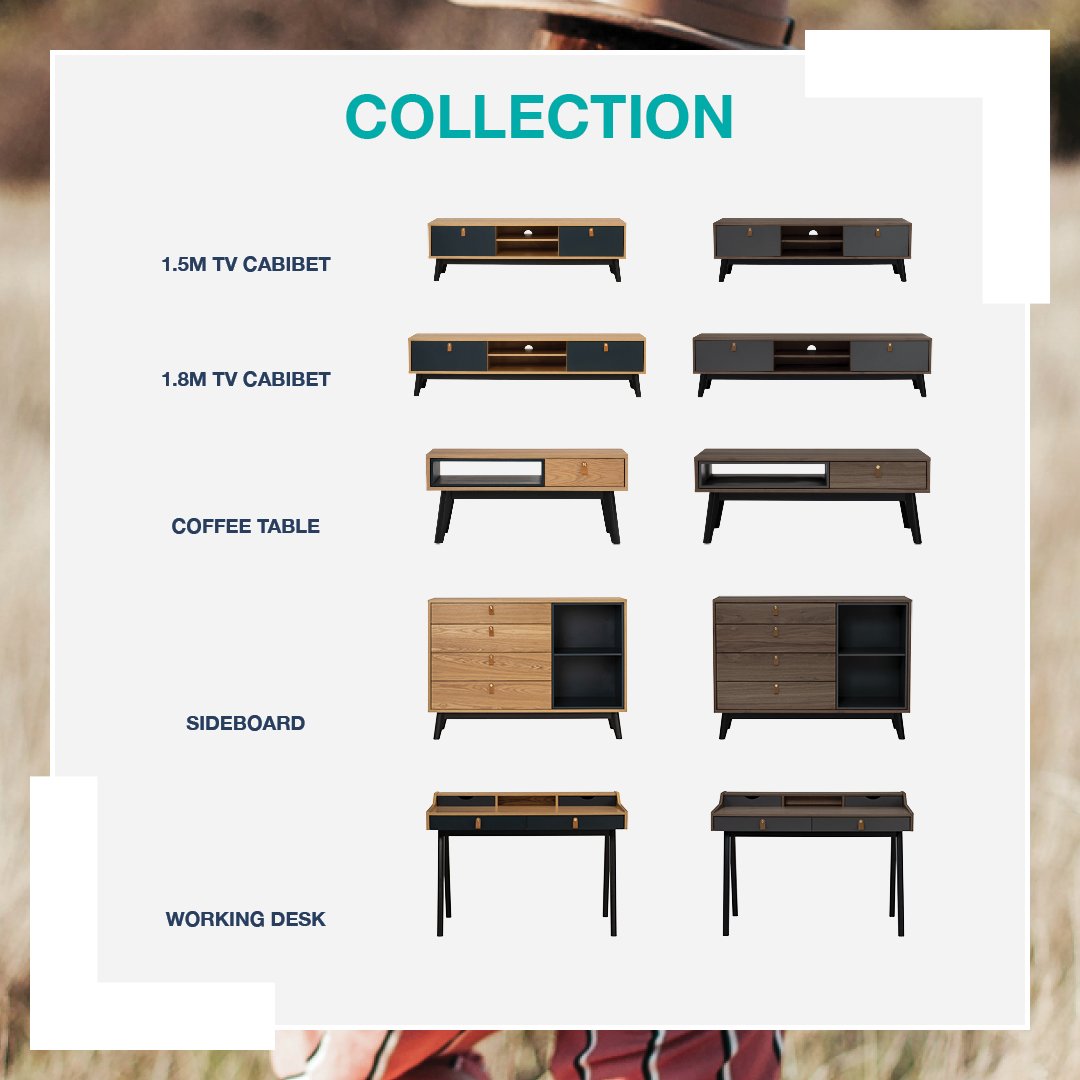 Castor_TVCabinet11