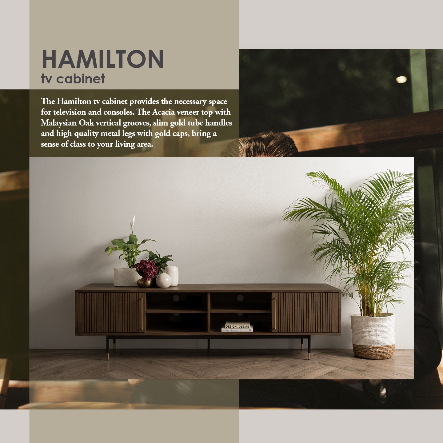 Hamilton_TVCabinet01