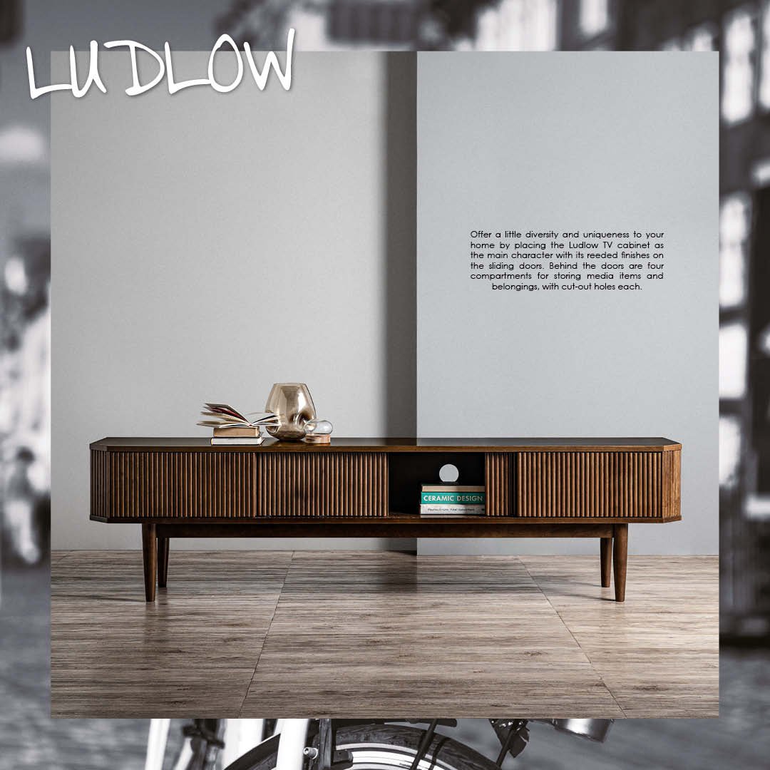 Ludlow_MediaUnit1