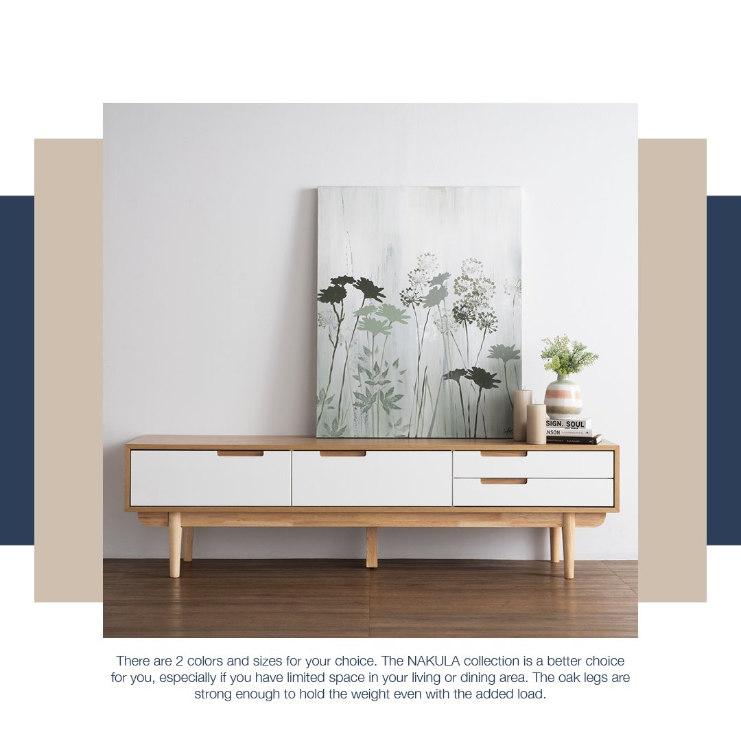 Nakula_TVCabinet03 (1)