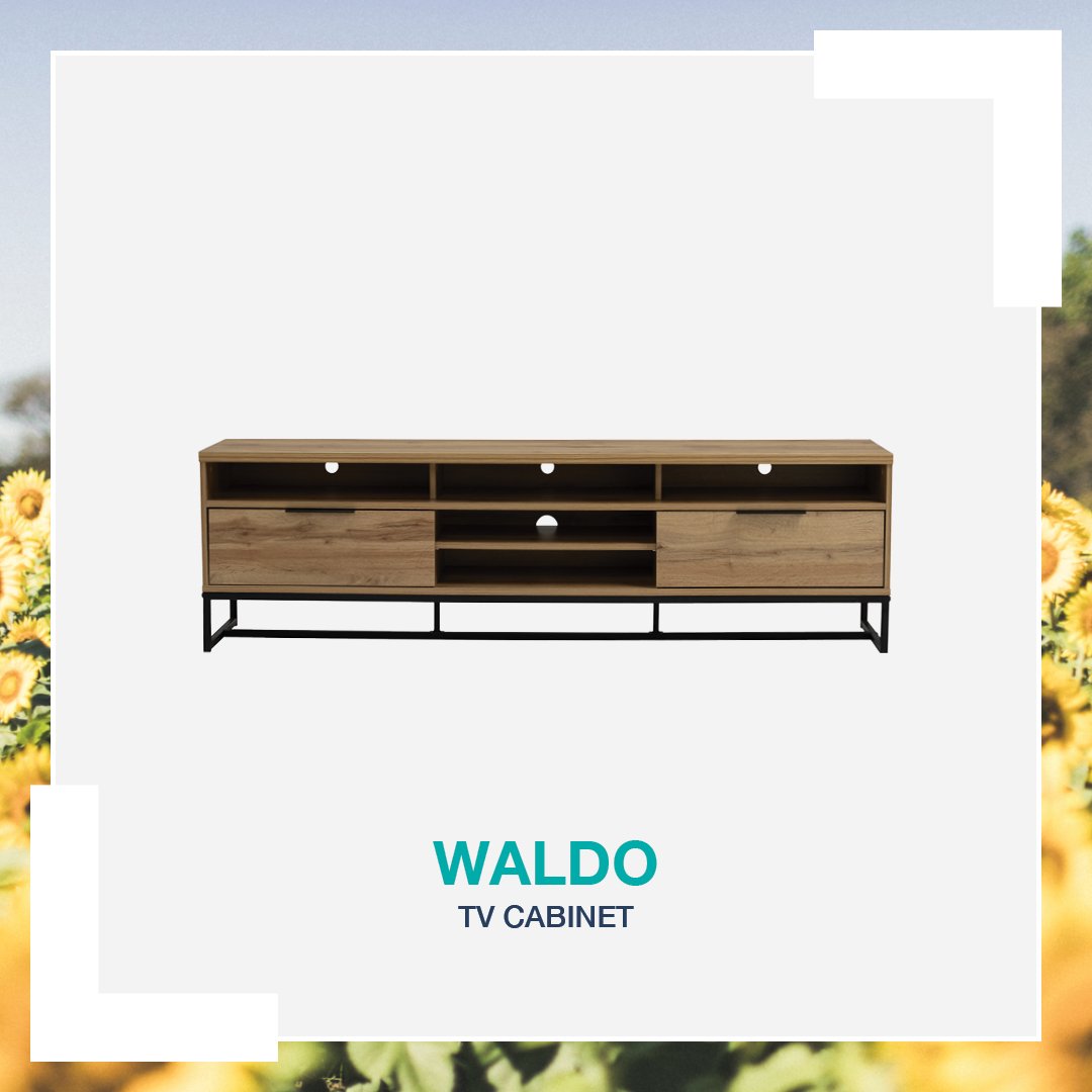 Waldo_TVCabinet1