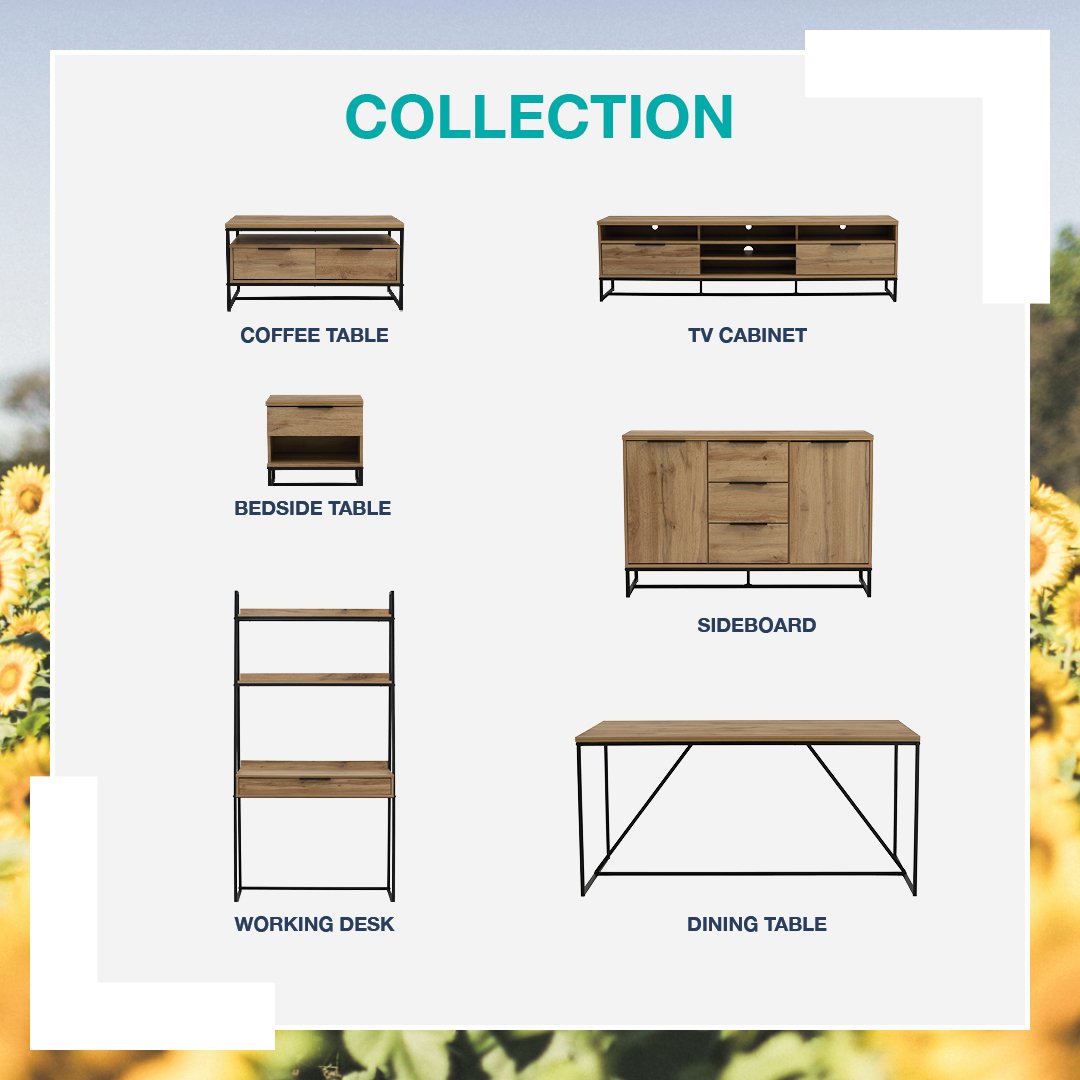 Waldo_TVCabinet8